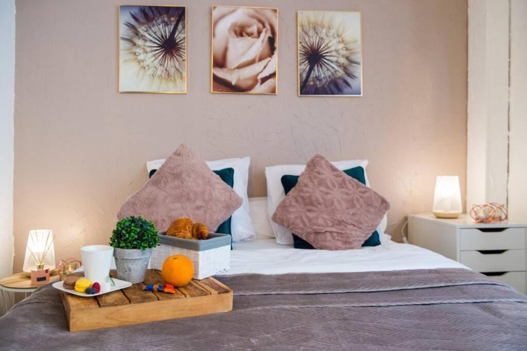 Studio Le Camaieu Tout Confort, Metz Gare Appartamento Esterno foto